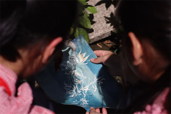 蓝晒法作品制作2.jpg