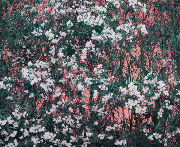 念小黑2020年150X189cm.jpg
