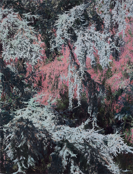 流淌的红色 2020摄影绘画150X196cm (1).jpg