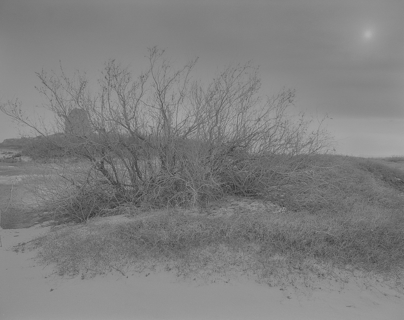 201612310804.jpg