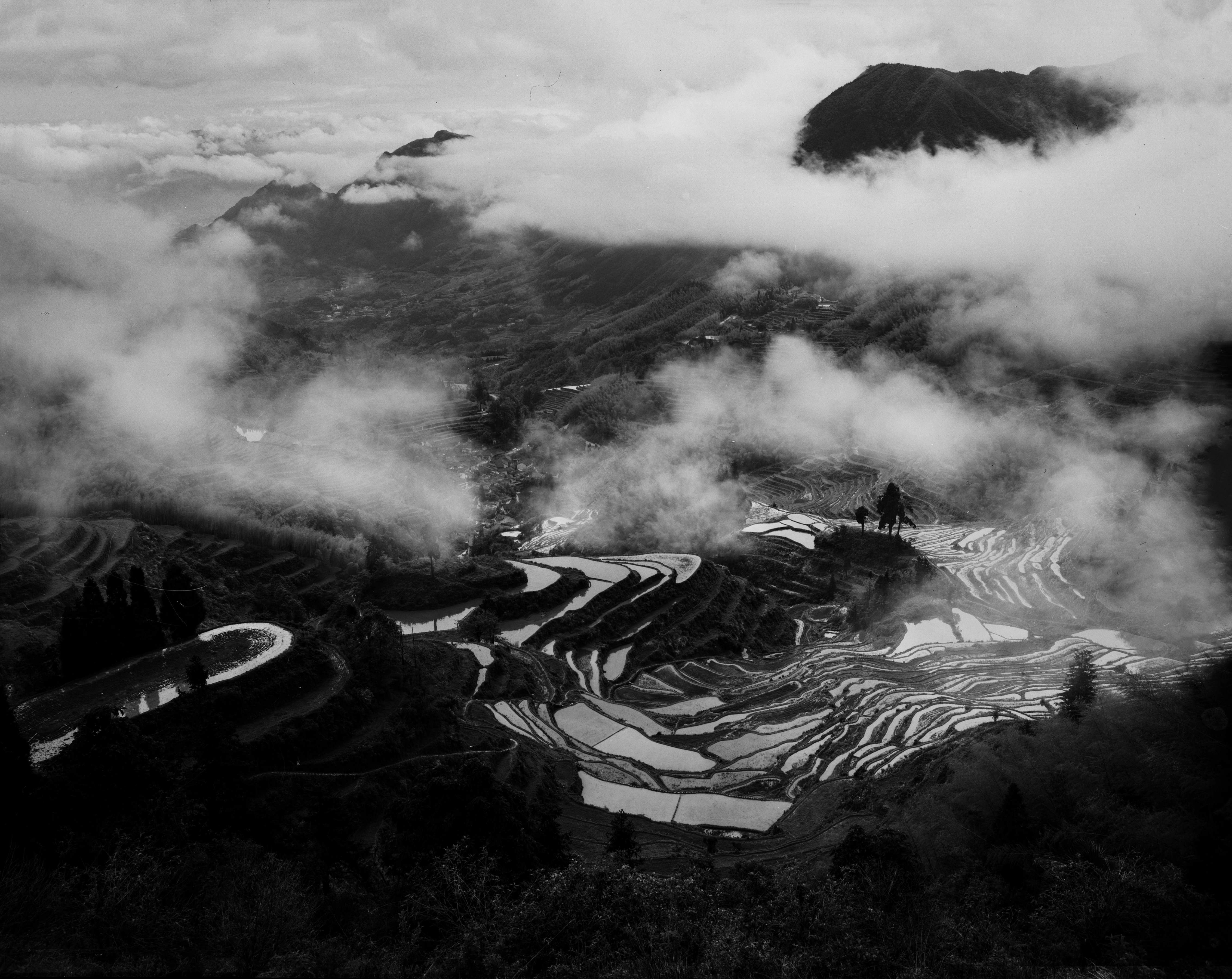 郑建文.jpg