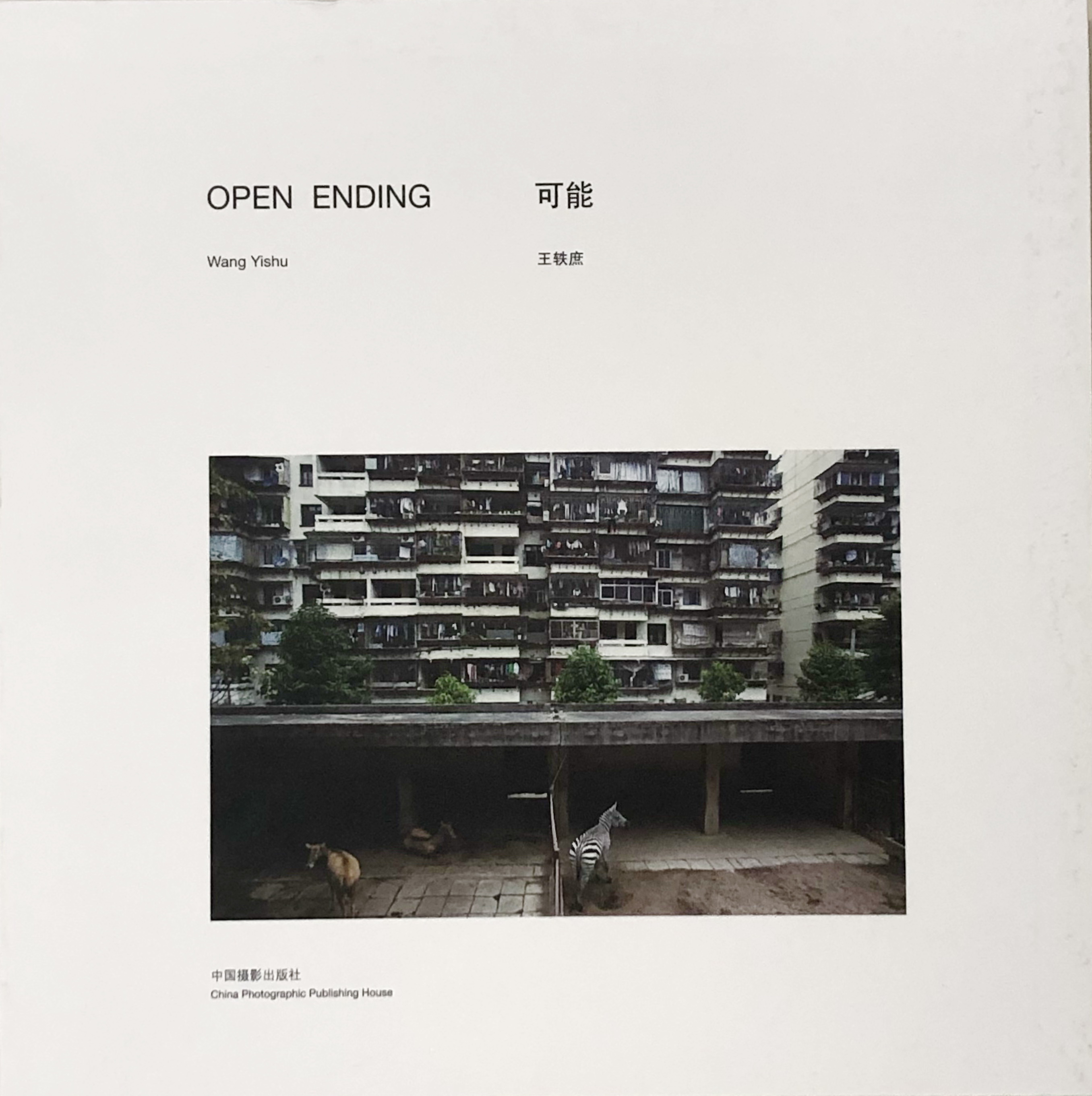 《可能》王轶庶著 中国摄影出版社（捐赠者：姜纬）.jpg