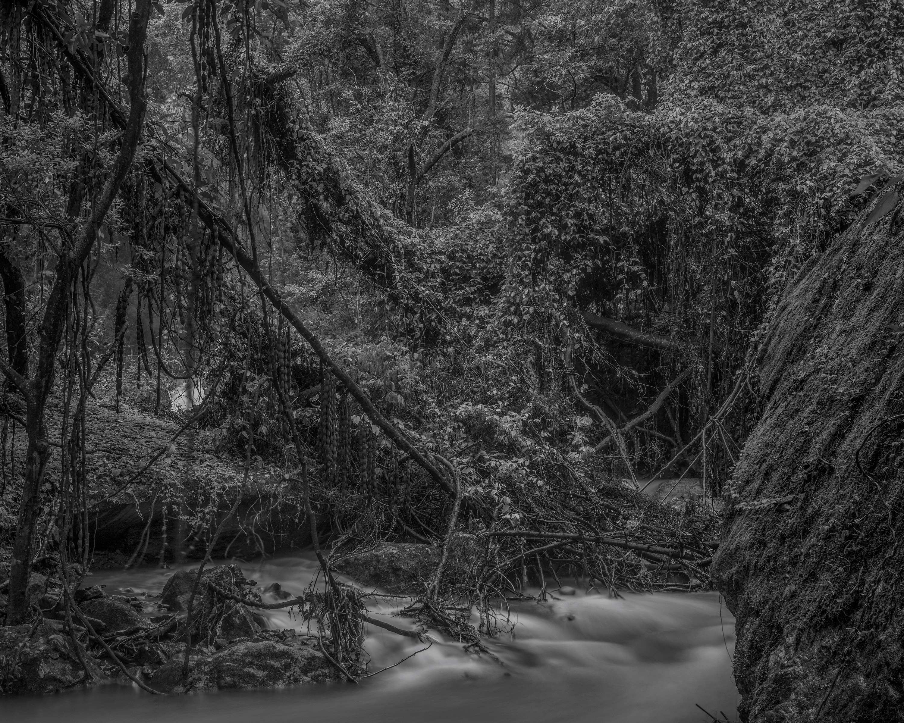 10回溪石濑-2022-舒巧敏 (5).jpg