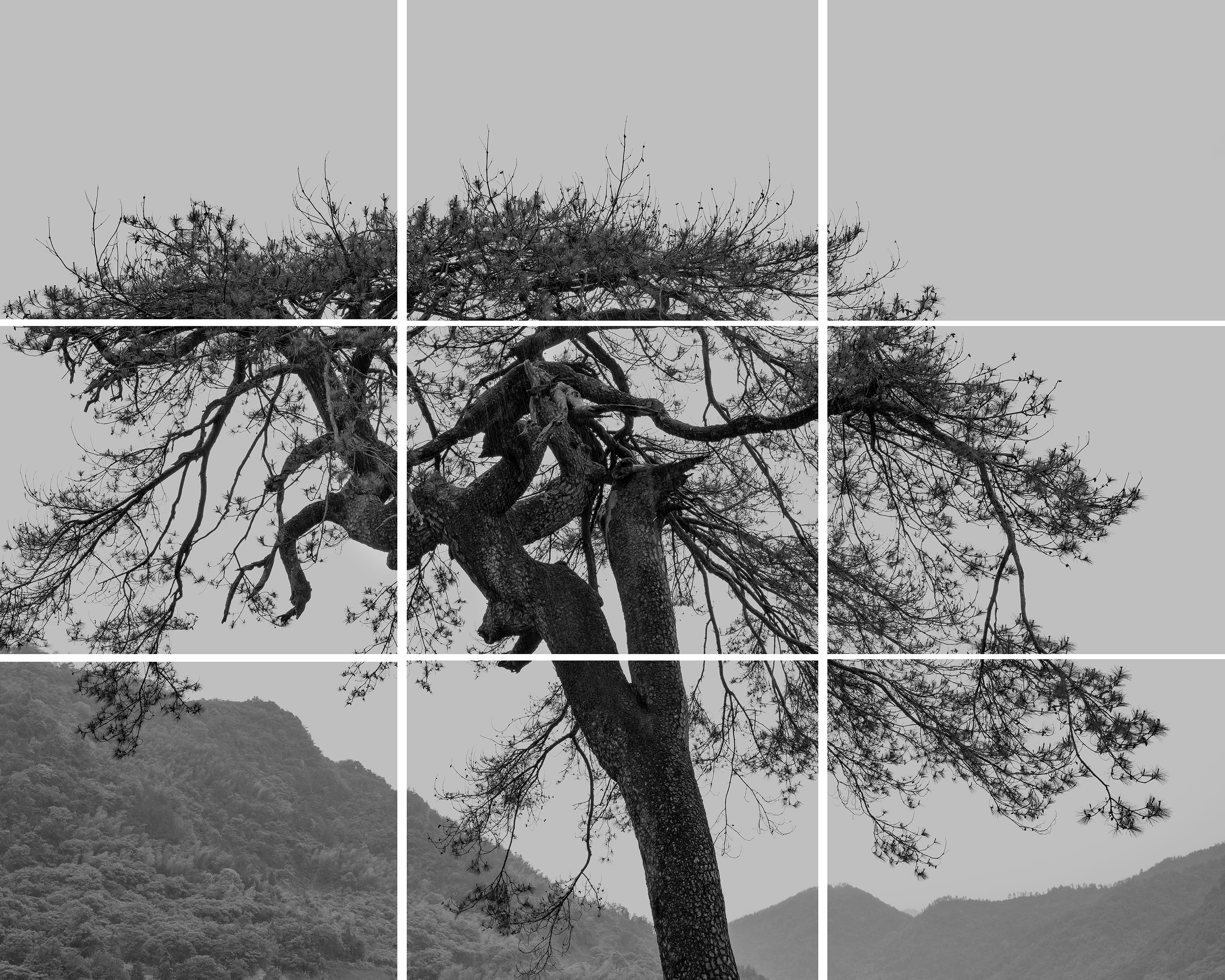 14括苍松-2024-舒巧敏 (25).jpg