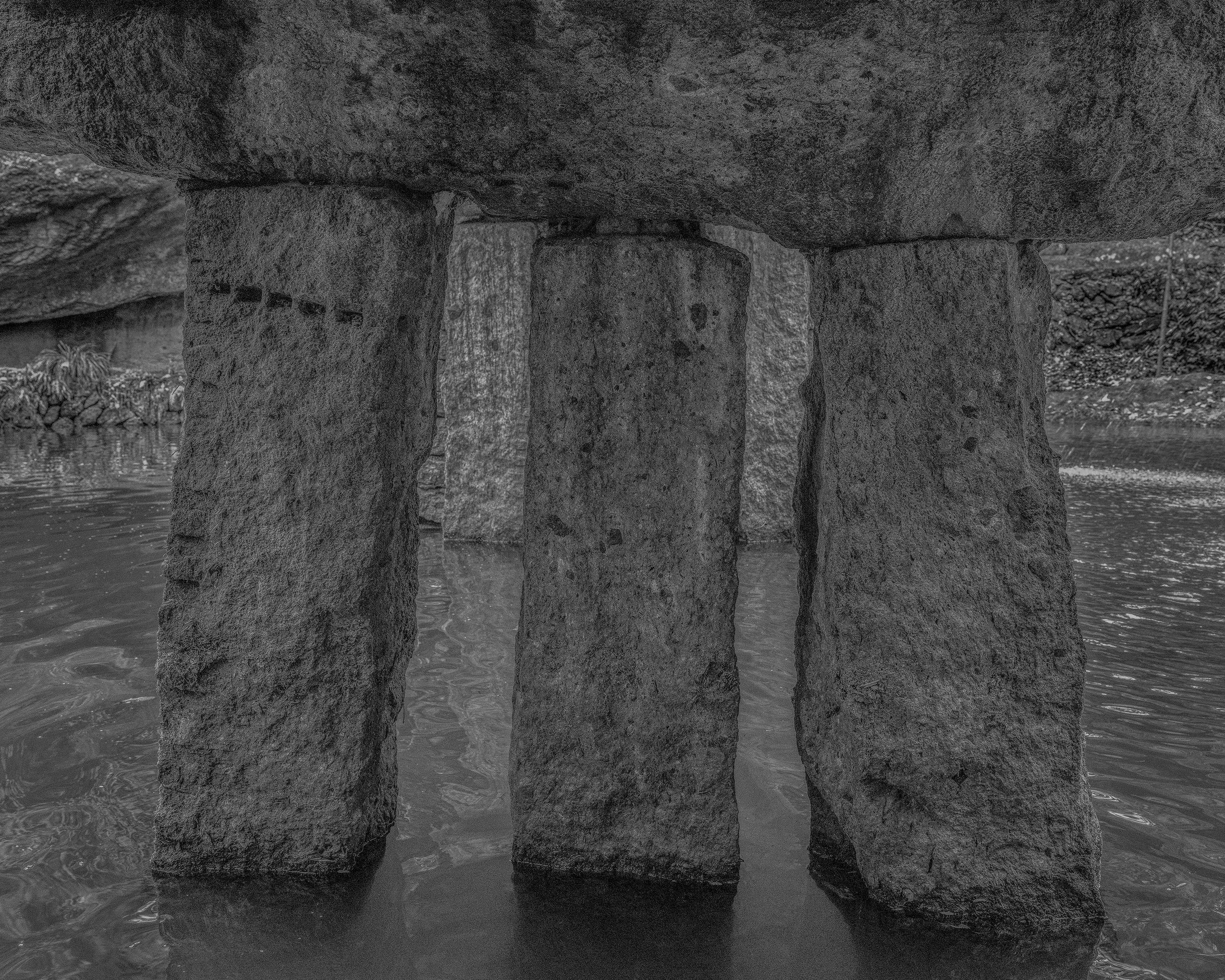 19南园-2024-舒巧敏 (3).jpg