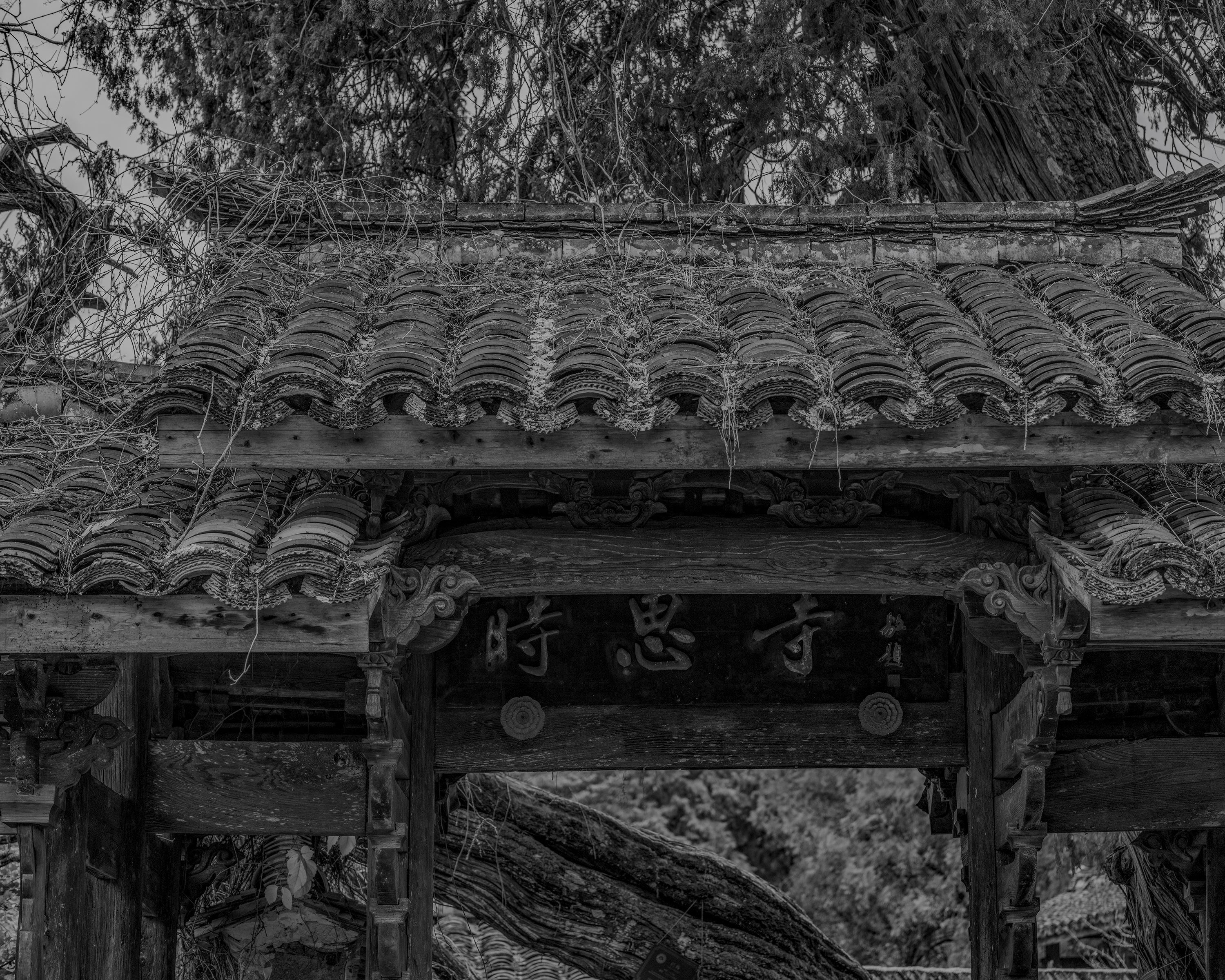 21时思寺-2024-舒巧敏 (11).jpg