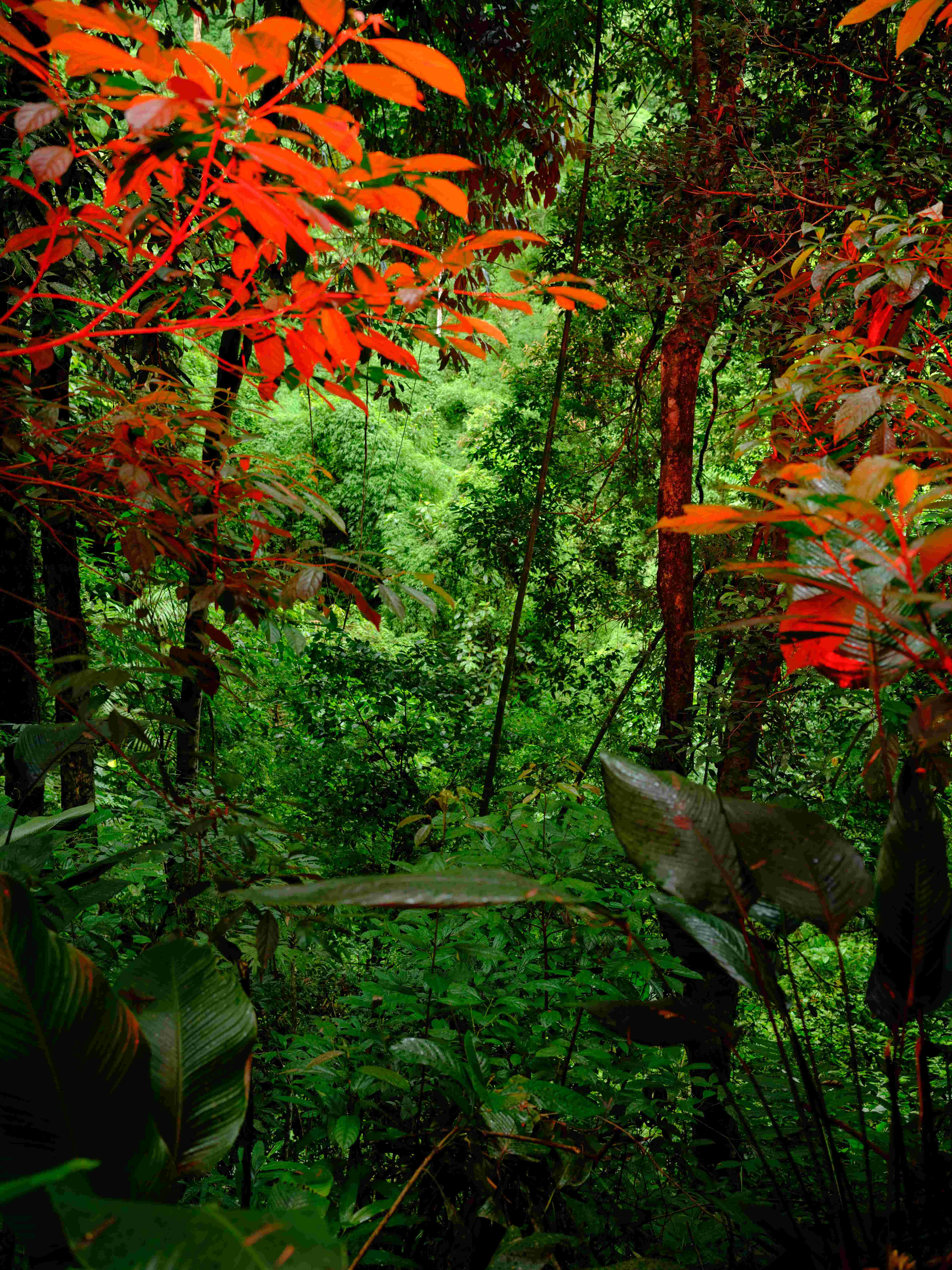 1781080328516070.jpg 19小.jpg